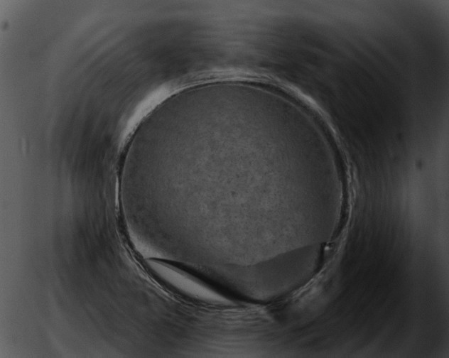 X0000051861365200507012330