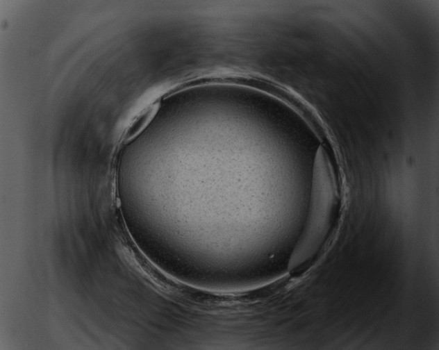 X0000051861367200507012330