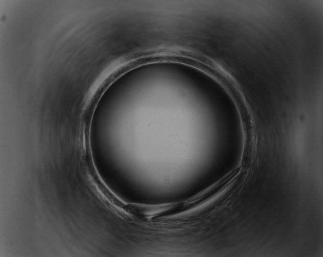 X0000051861368200507012330