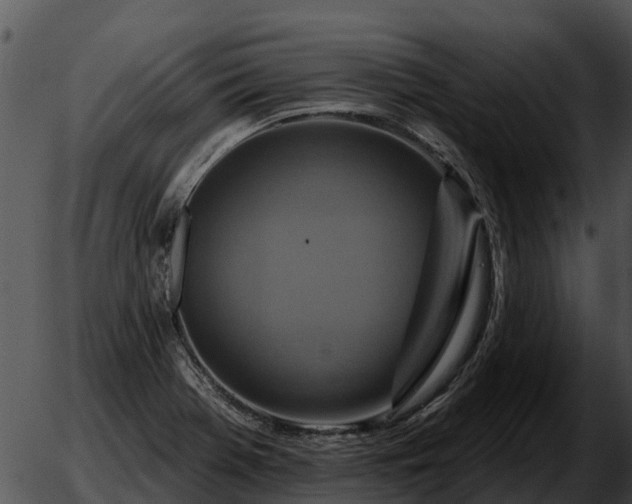 X0000051861369200507012330