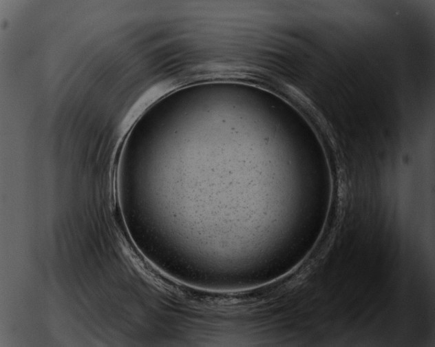 X0000051861370200507012330