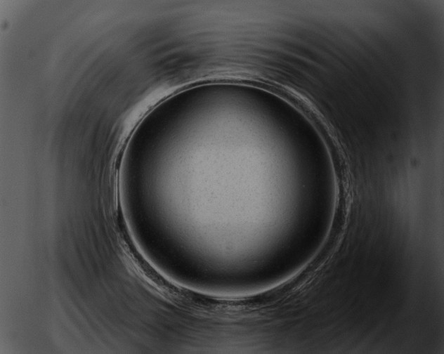 X0000051861371200507012330