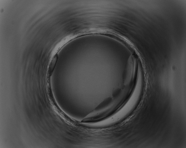 X0000051861373200507012330