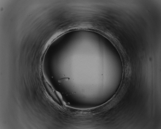 X0000051861374200507012330