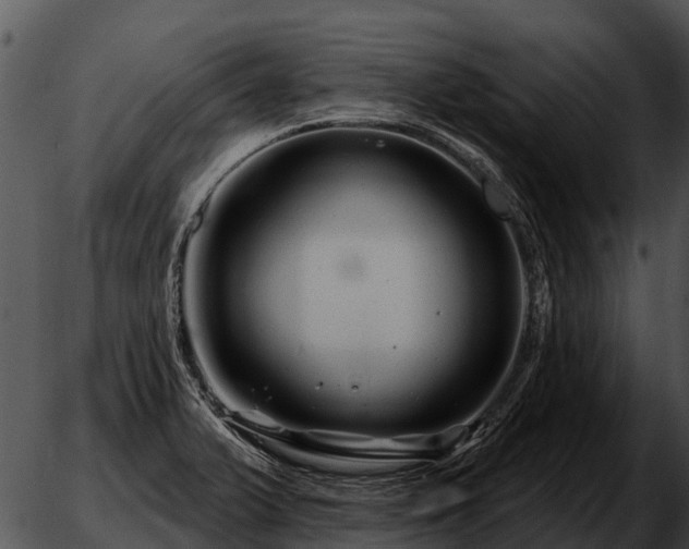 X0000051861375200507012330