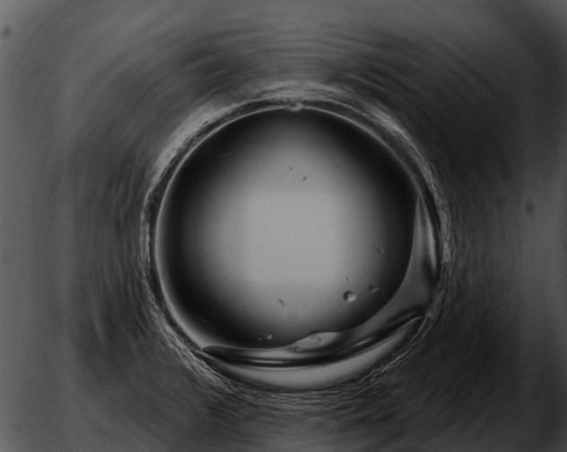 X0000051861376200507012330