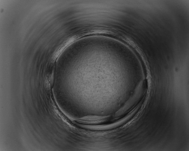 X0000051861377200507012330