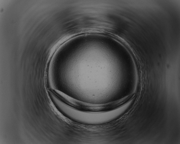 X0000051861379200507012330