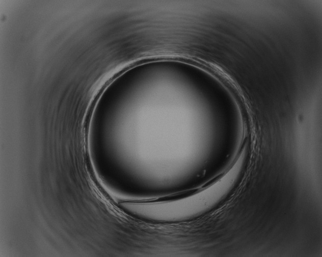 X0000051861380200507012330