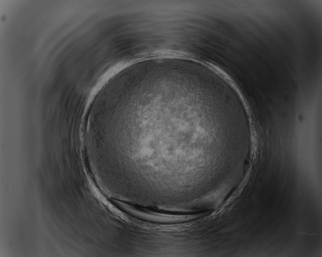 X0000051861381200507012330