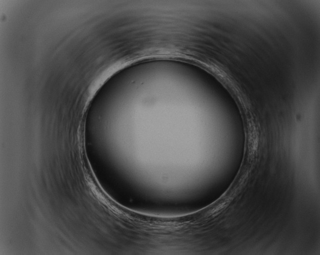 X0000051861382200507012330