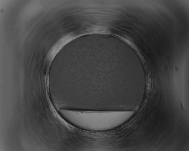 X0000051861383200507012329