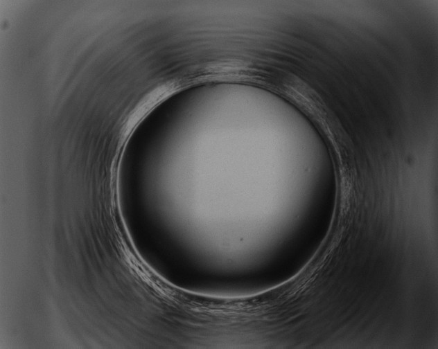 X0000051861386200507012329