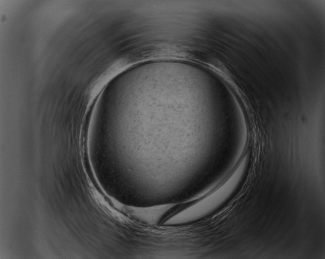 X0000051861387200507012329