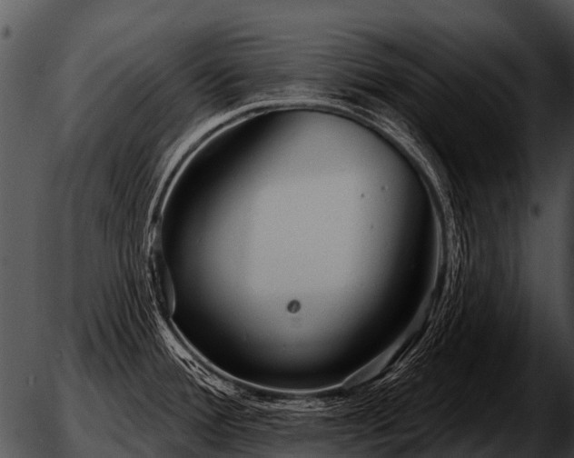 X0000051861388200507012329