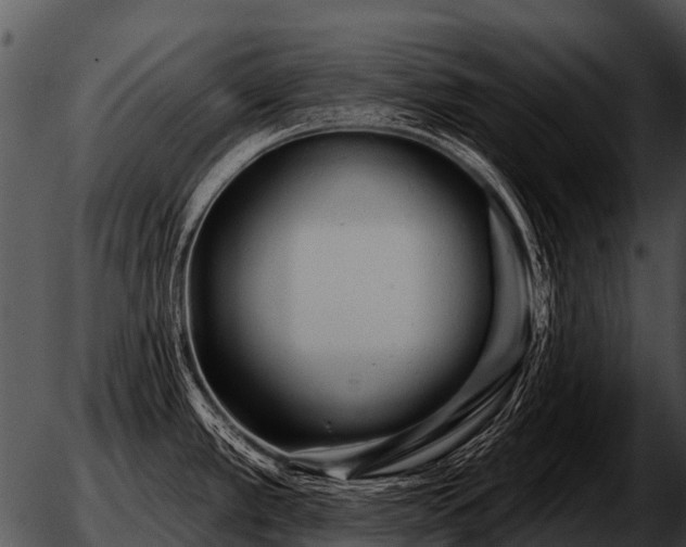 X0000051861389200507012329