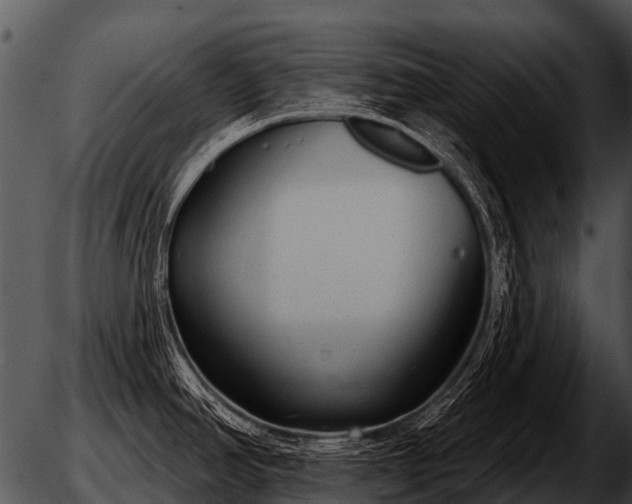 X0000051861390200507012329