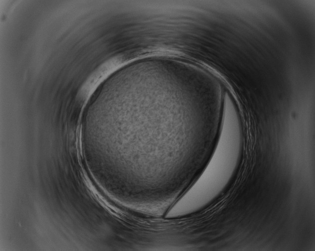 X0000051861391200507012329