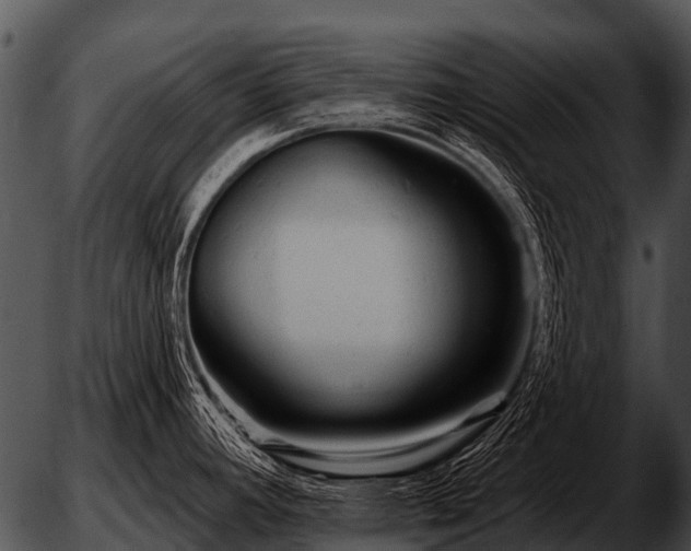 X0000051861392200507012329