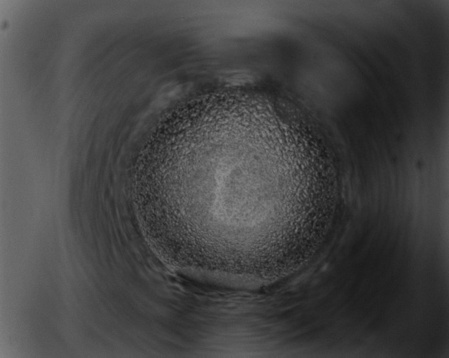 X0000051861393200507012329