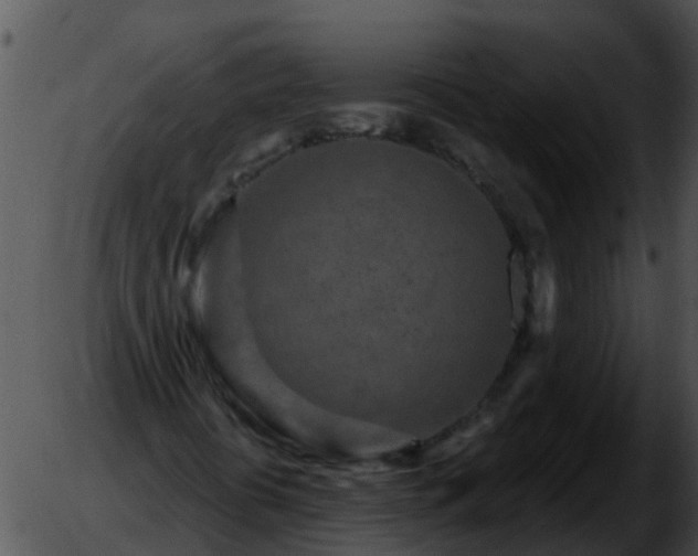 X0000051861394200507012329