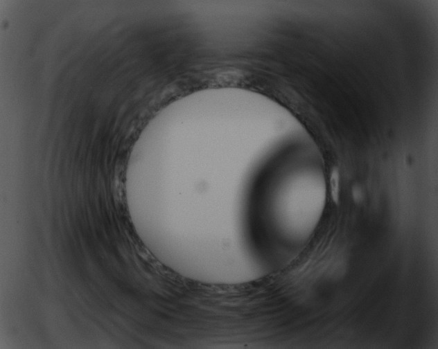 X0000051861395200507012329