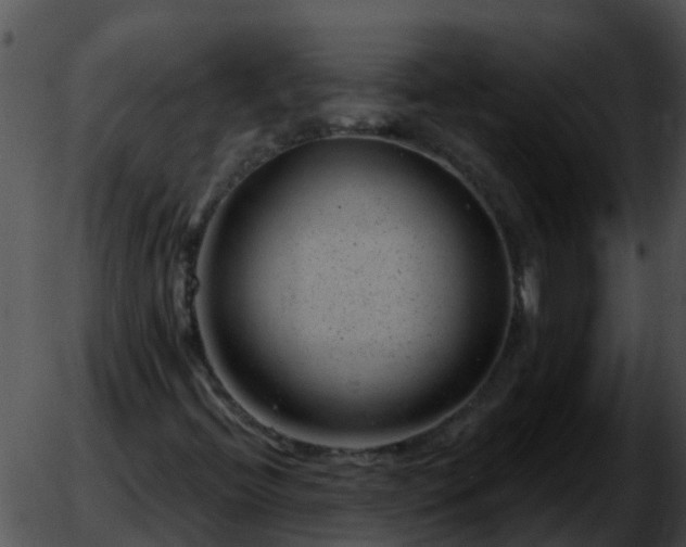 X0000051861396200507012329