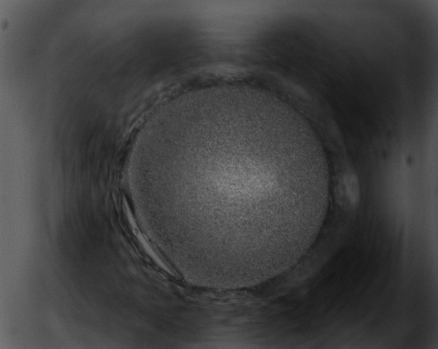 X0000051861397200507012329