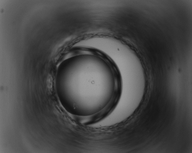 X0000051861398200507012329