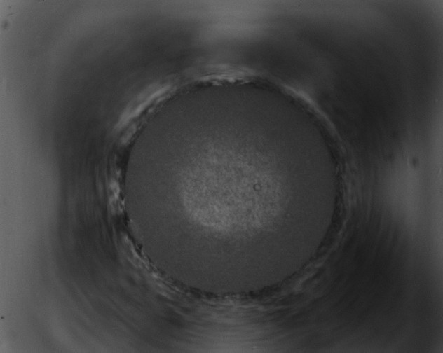 X0000051861399200507012329