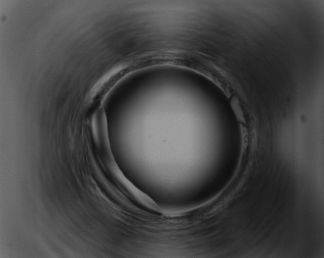 X0000051861402200507012329