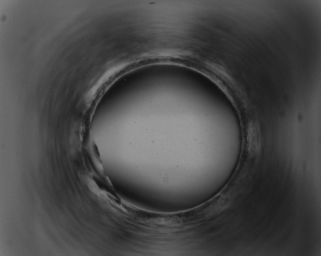 X0000051861404200507012329