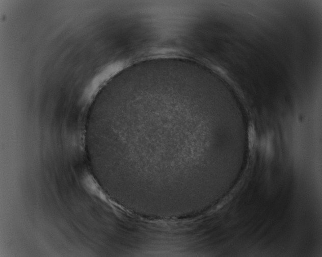 X0000051861405200507012329