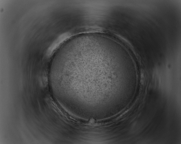 X0000051861407200507012329