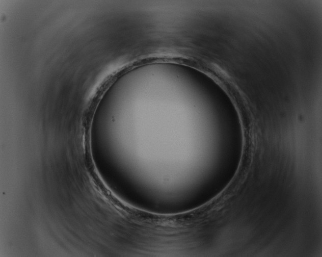 X0000051861408200507012329