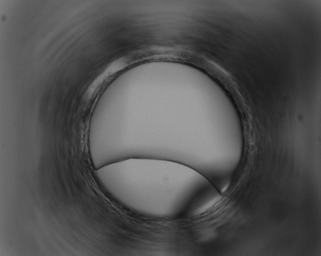 X0000051861411200507012329