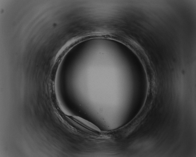 X0000051861412200507012329