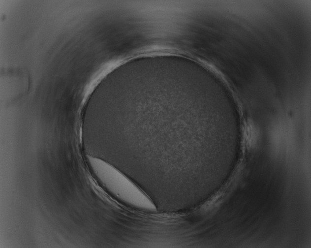 X0000051861413200507012329