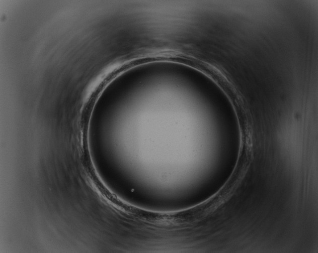 X0000051861414200507012329