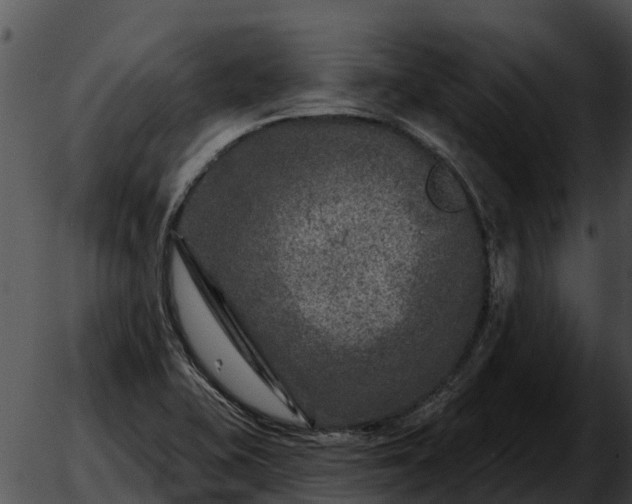 X0000051861415200507012329