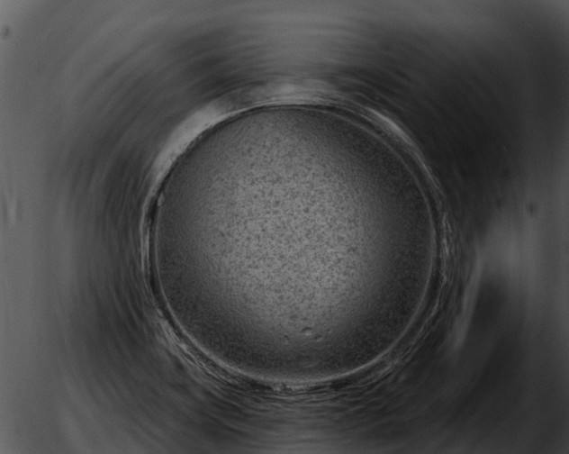 X0000051861419200507012329