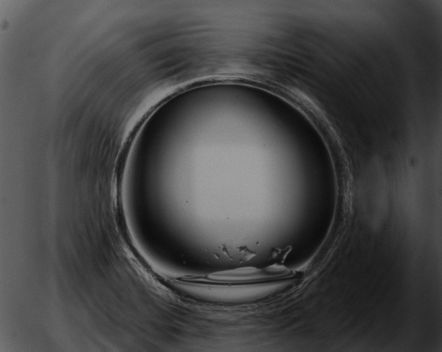 X0000051861420200507012329