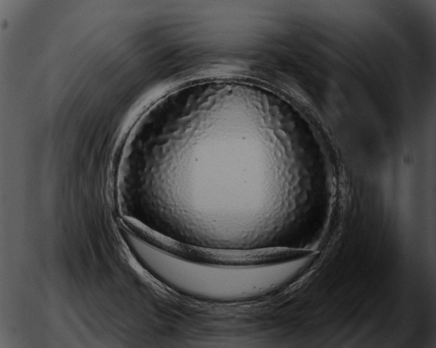 X0000051861421200507012329