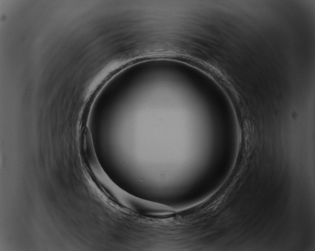 X0000051861422200507012329