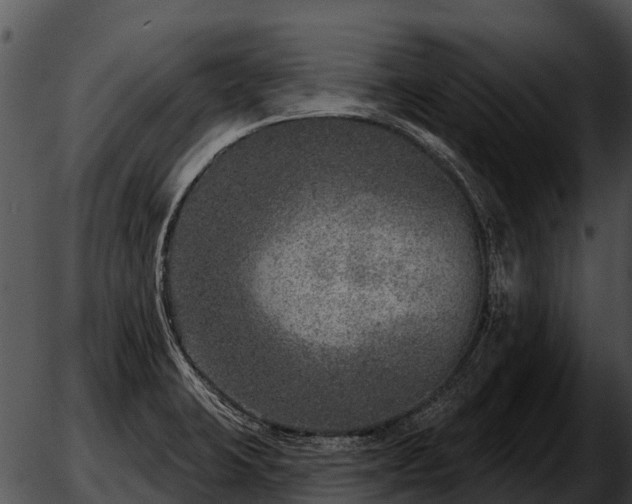 X0000051861423200507012329