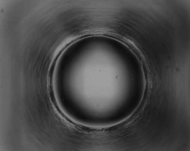 X0000051861424200507012329