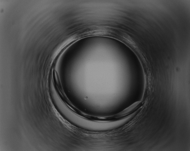 X0000051861426200507012329