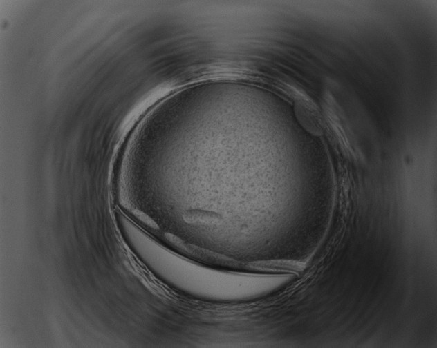 X0000051861427200507012329