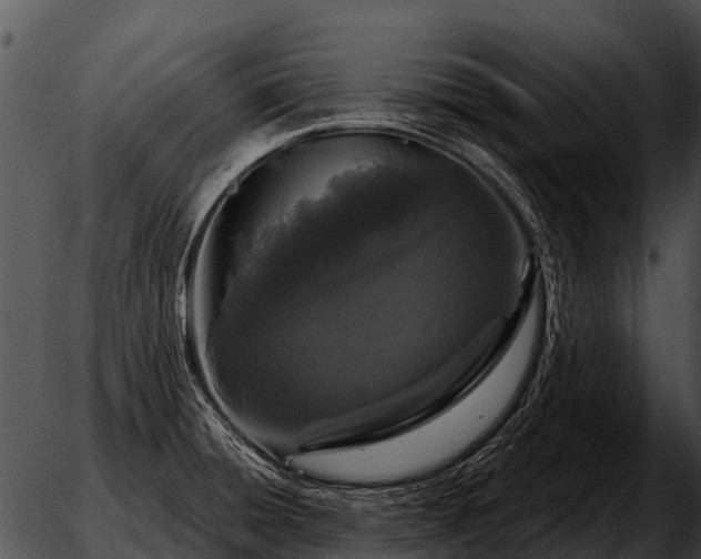 X0000051861428200507012329