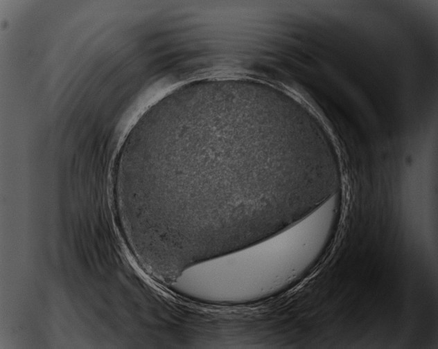 X0000051861429200507012329